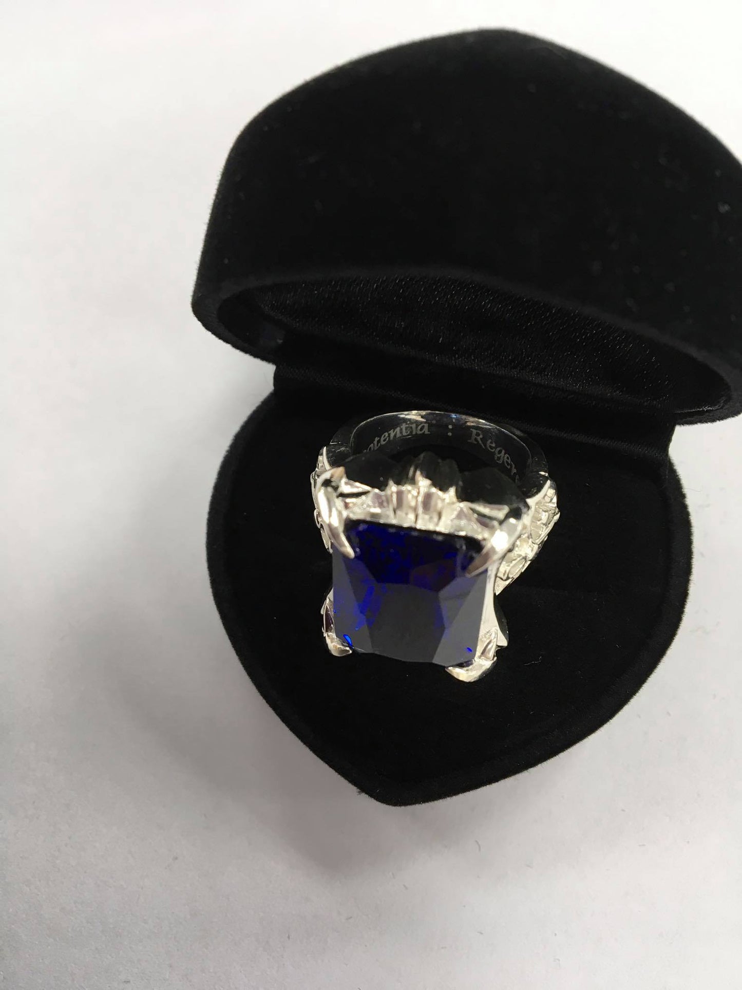 🎪 Aristocratic Ring – Custom Made | 凡多姆海伍戒指 訂製